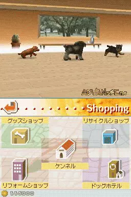 Image n° 3 - screenshots : Nintendogs - Shiba & Friends